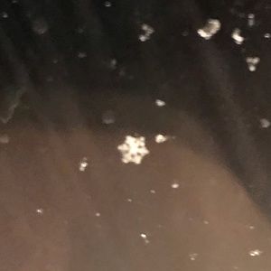 Meet your Posher, Sam